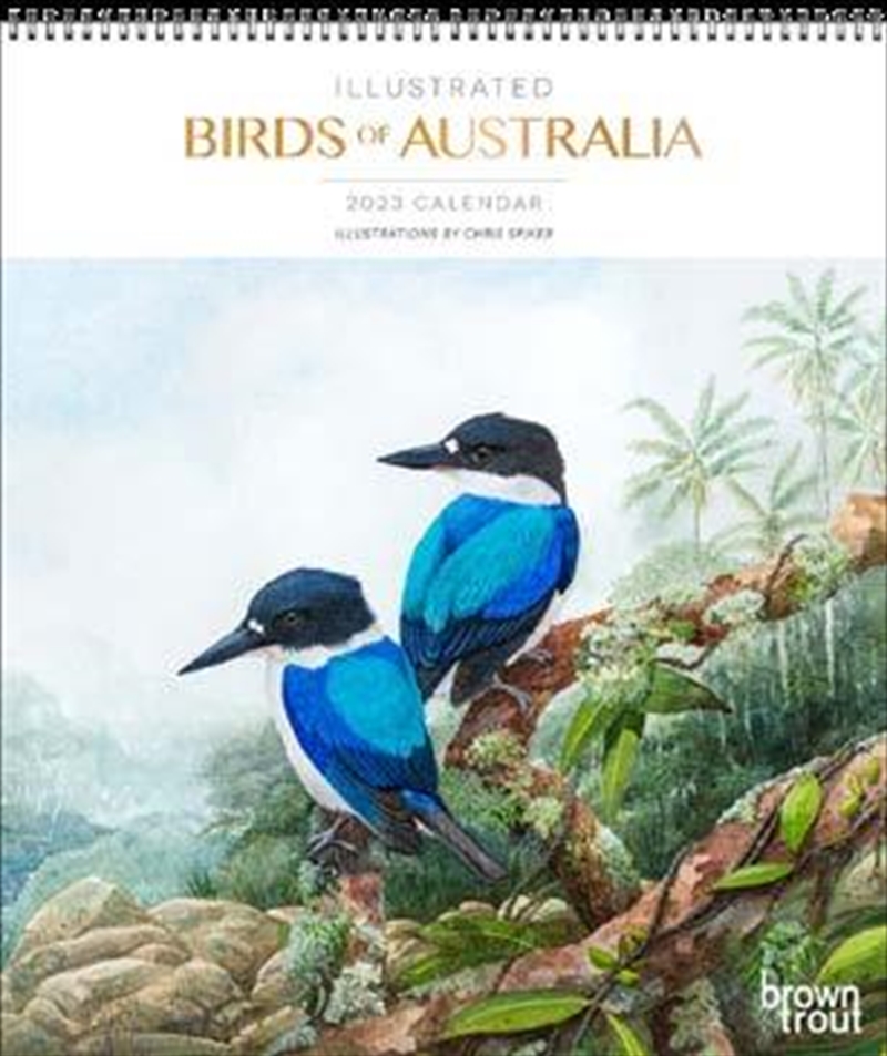 Illustrated Birds Of Australia Calendar 2023 | Merchandise