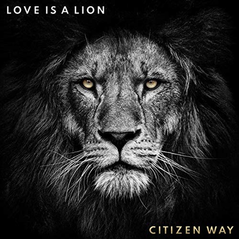 Love Is A Lion/Product Detail/Religious