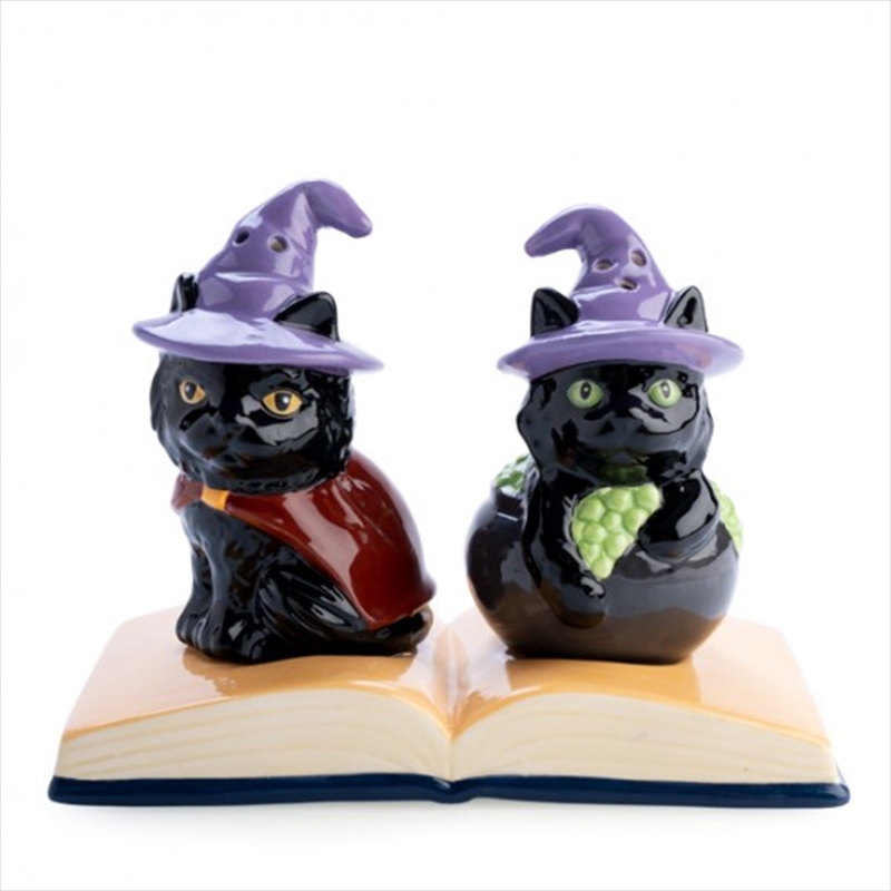 Black Cat Salt Pepper Set/Product Detail/Tableware