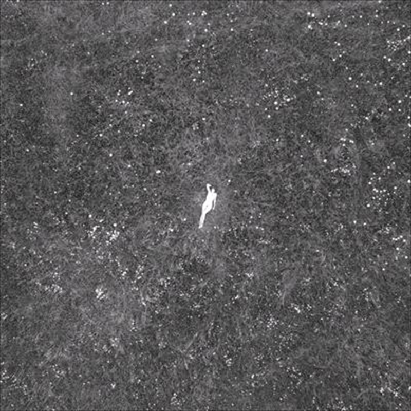 Last Garden/Product Detail/Pop