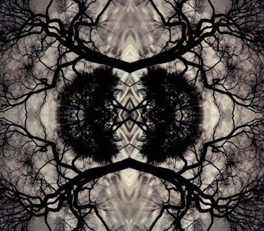 Sonic Mandala Go: Organic Orchestra/Product Detail/Jazz