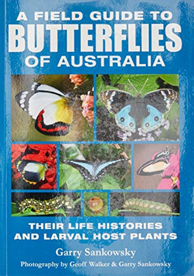 Field Guide to Butterflies of Australia | Paperback Book