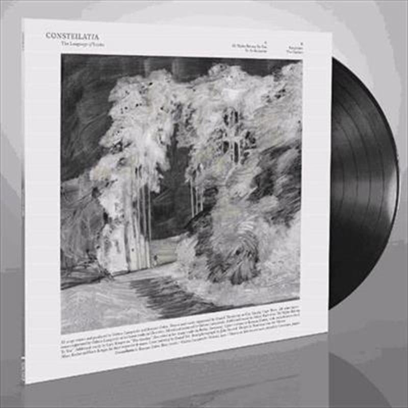 Language Of Limbs/Product Detail/Metal