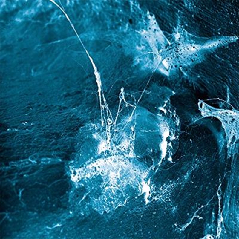 Hvel/Product Detail/Alternative