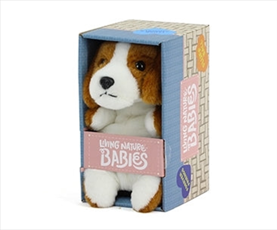 Living Nature Babies Beagle 17cm | Toy