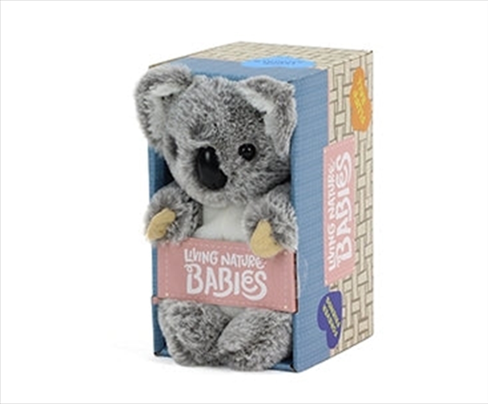 Living Nature Babies Koala 17cm/Product Detail/Plush Toys