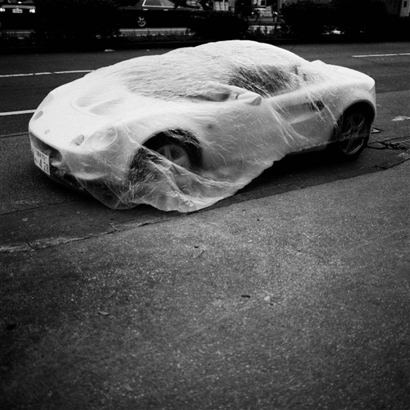 Dias De Aranha/Product Detail/Dance