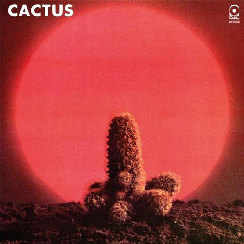 Cactus/Product Detail/Hard Rock