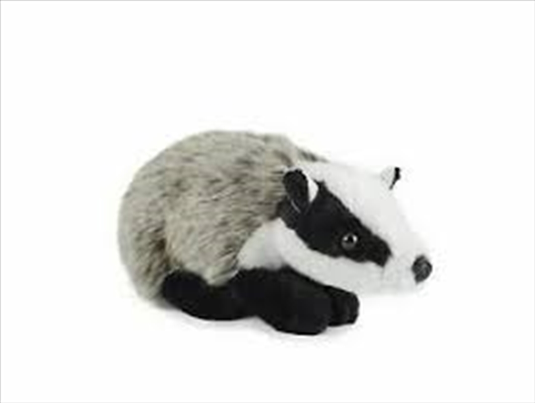 Badger Medium 19cm | Toy