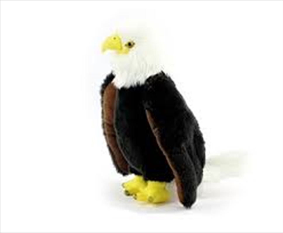 Bald Eagle | Toy