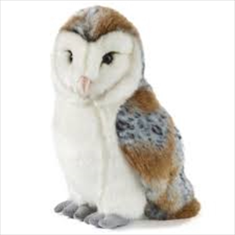 Barn Owl Large 30cm | Toy