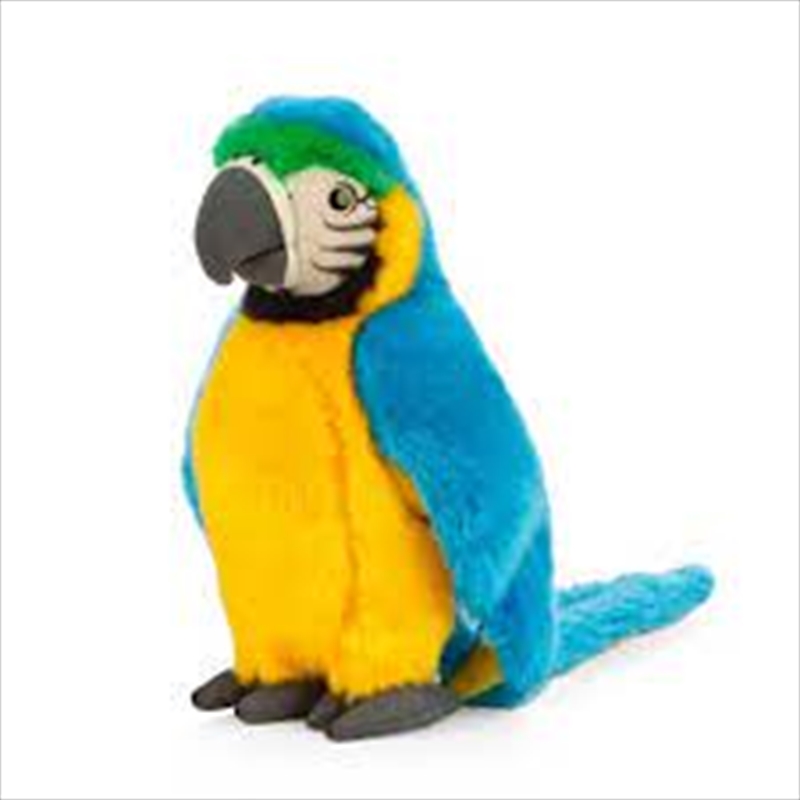 Blue Macaw 24cm | Toy