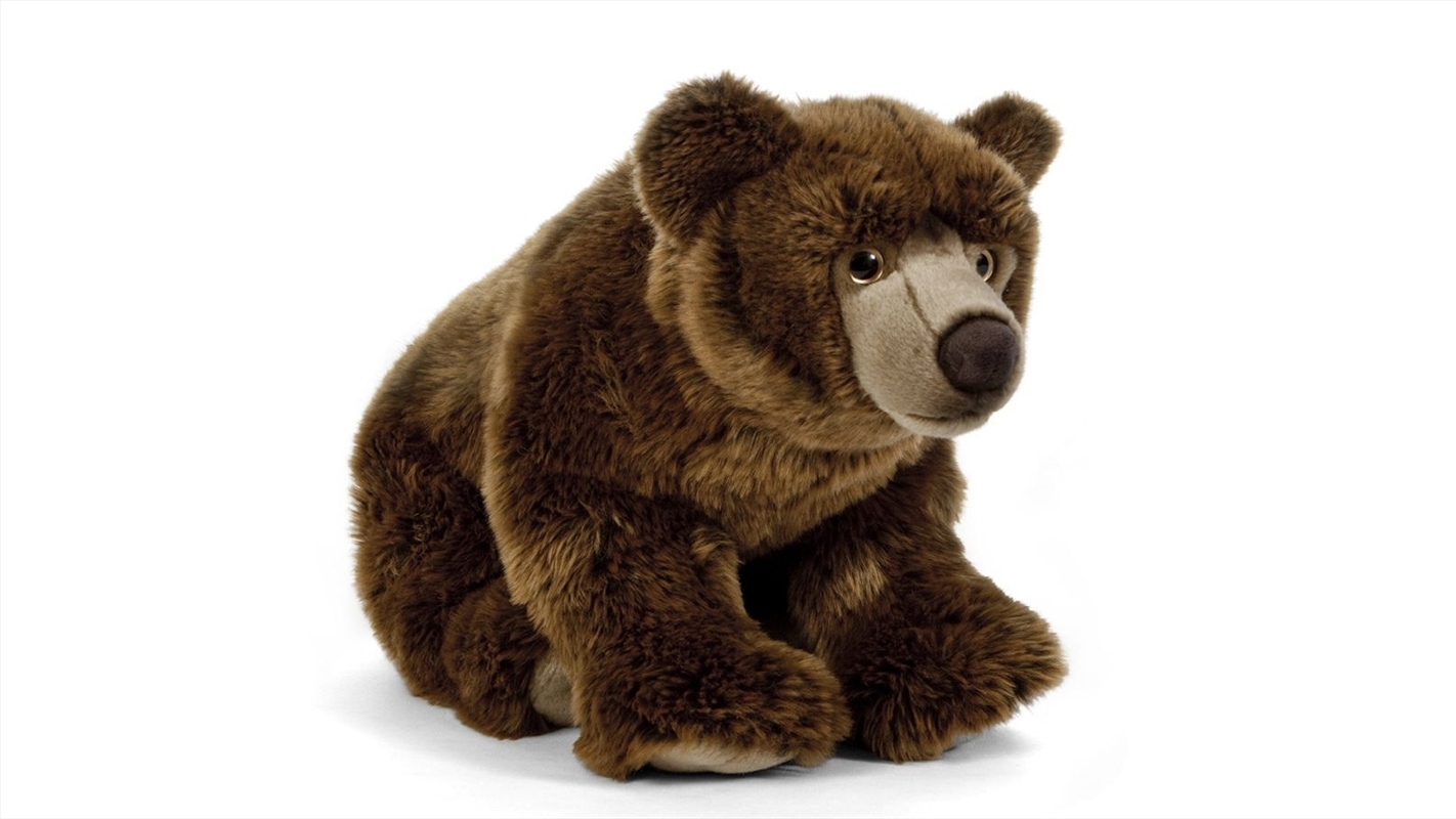 Brown Bear Large 45cm | Toy