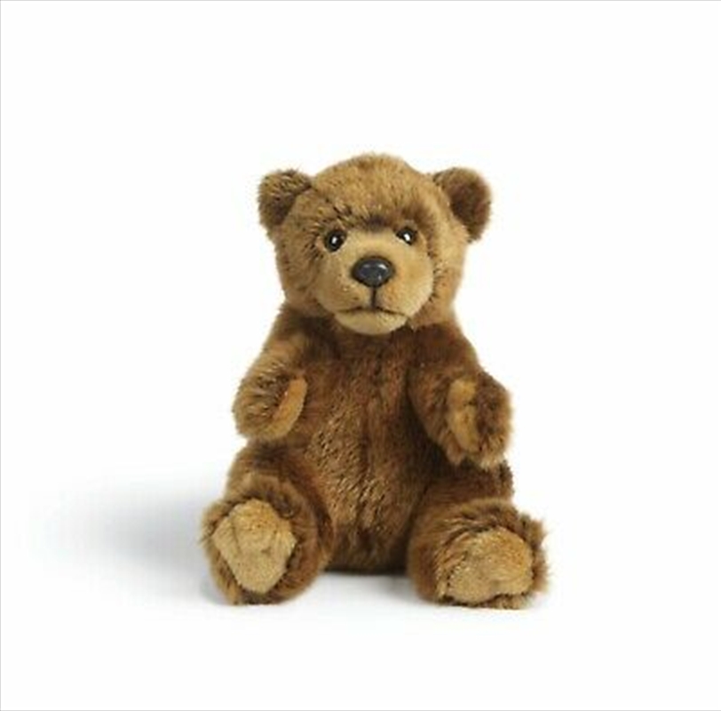 Brown Bear Medium 25cm | Toy