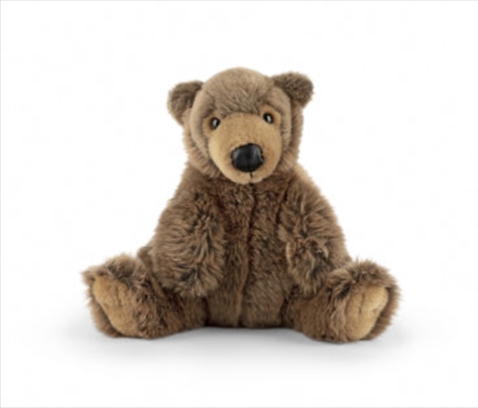 Brown Bear With Sound | Toy