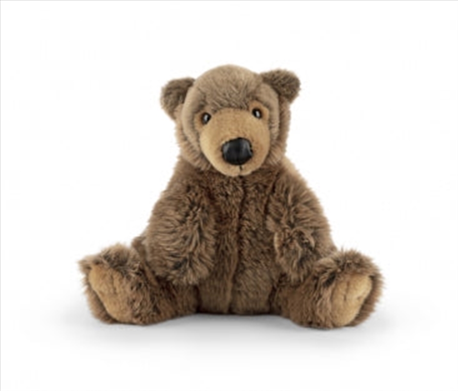 Brown Bear With Sound/Product Detail/Plush Toys