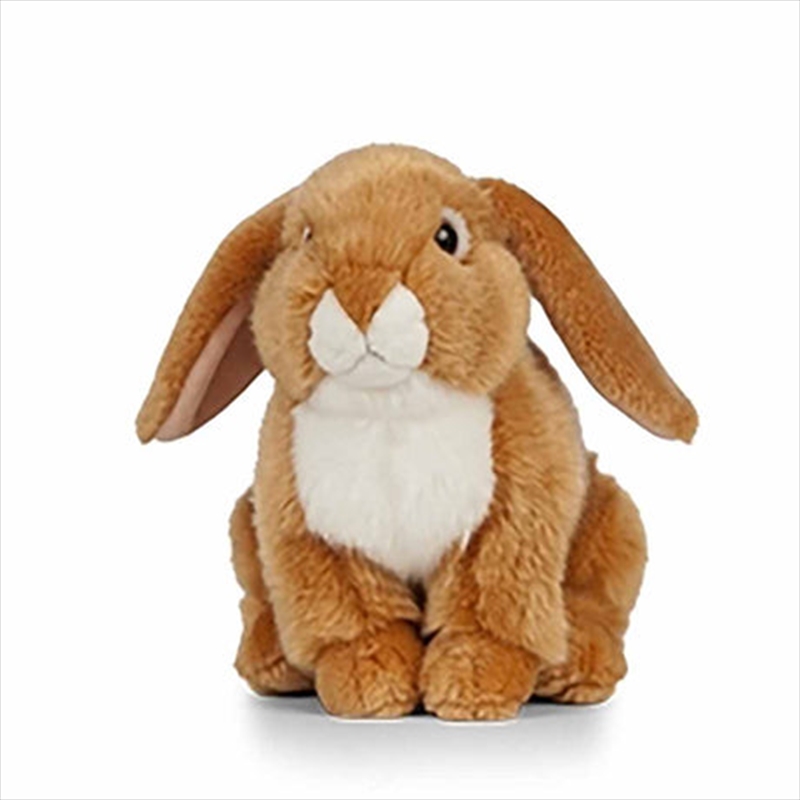 Brown French Lop Rabbit 22cm | Toy