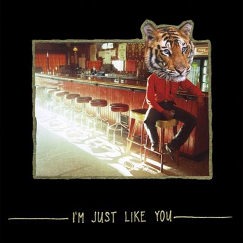 I'm Just Like You | Vinyl