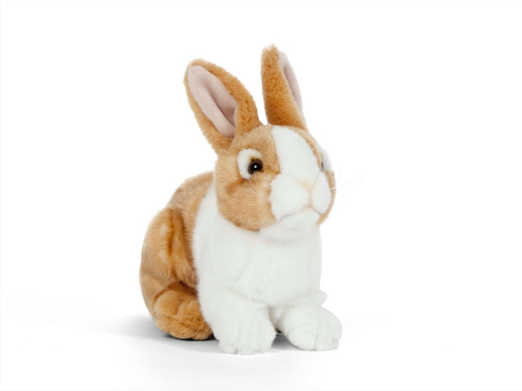 Brown Pet Rabbit 18cm | Toy