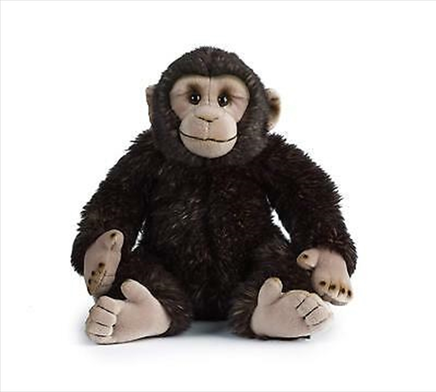 Chimp 30cm/Product Detail/Plush Toys
