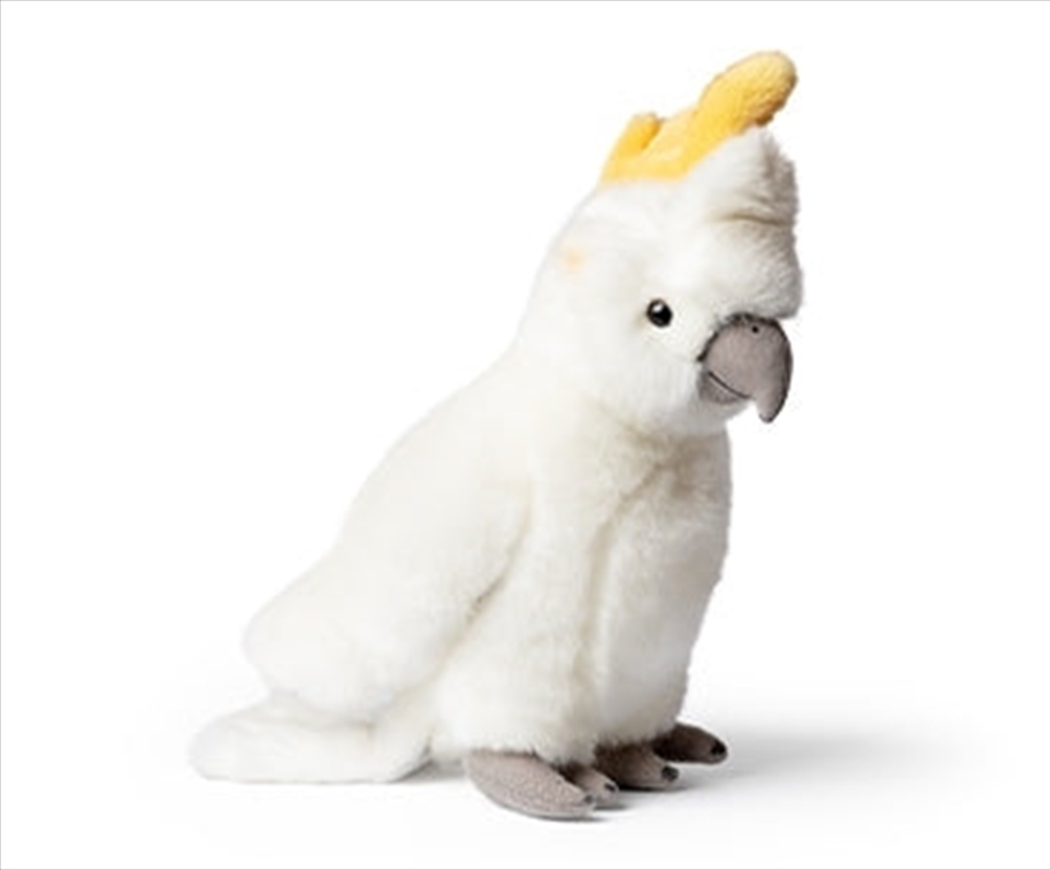 Cockatoo/Product Detail/Plush Toys