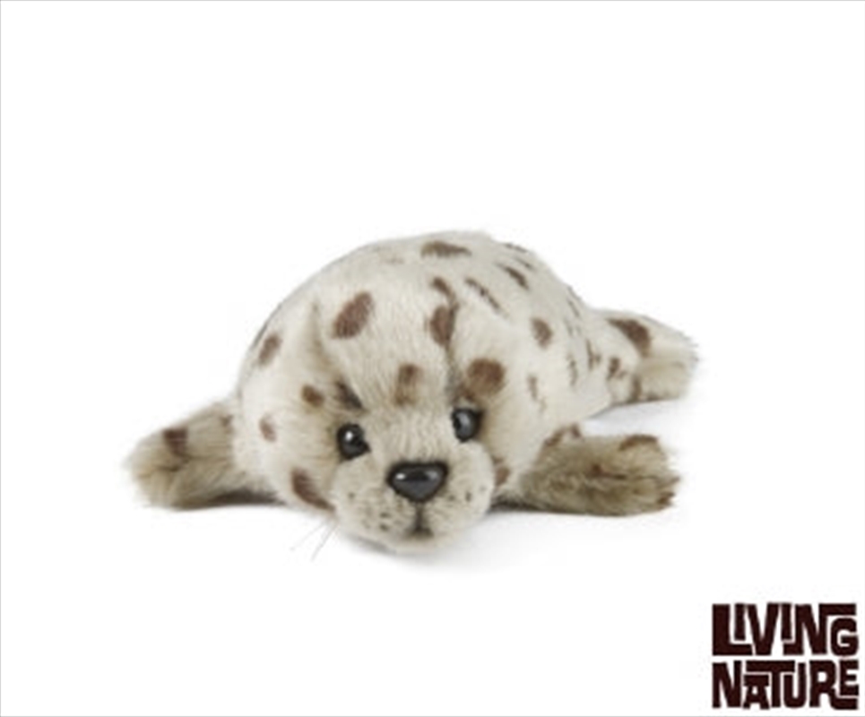 Common Seal Pup 22cm/Product Detail/Plush Toys