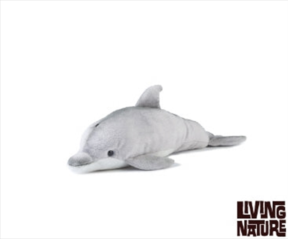 Dolphin 30cm | Toy