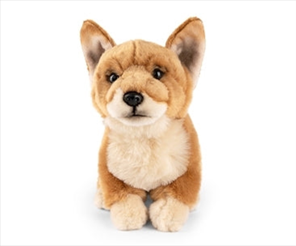 Dorgi/Product Detail/Plush Toys