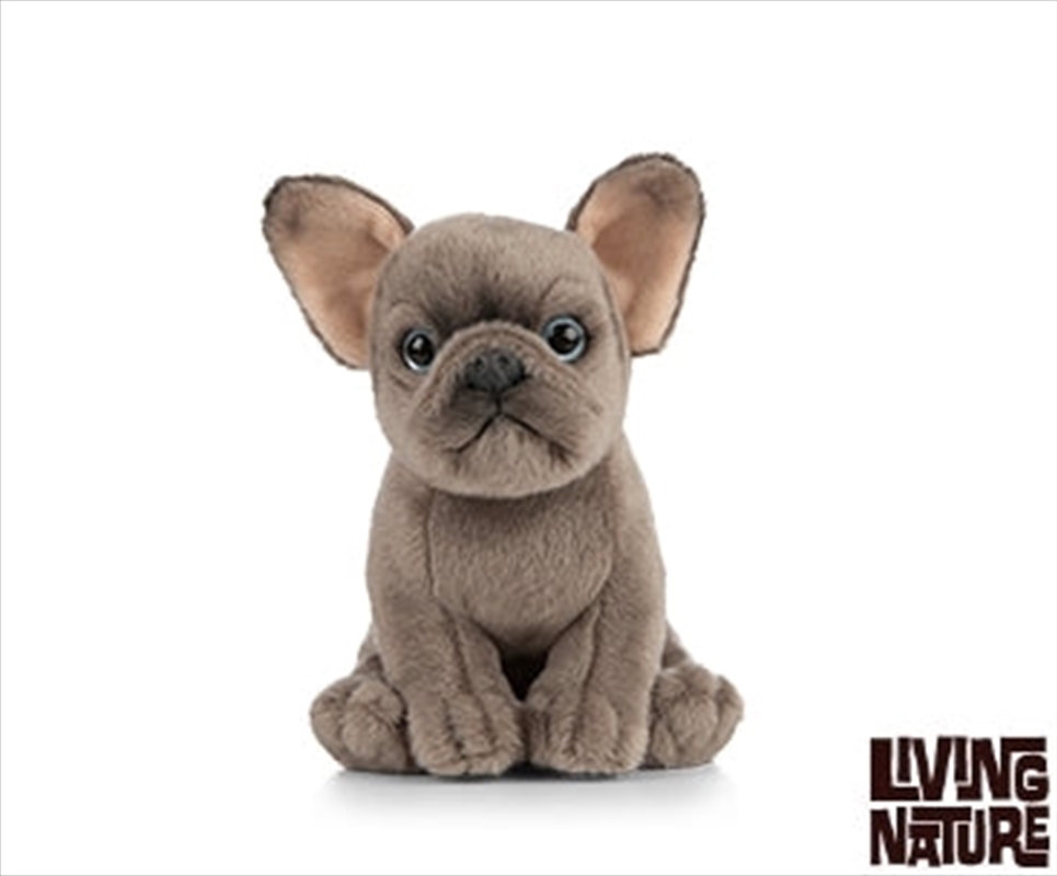 French Bulldog Puppy 16cm | Toy