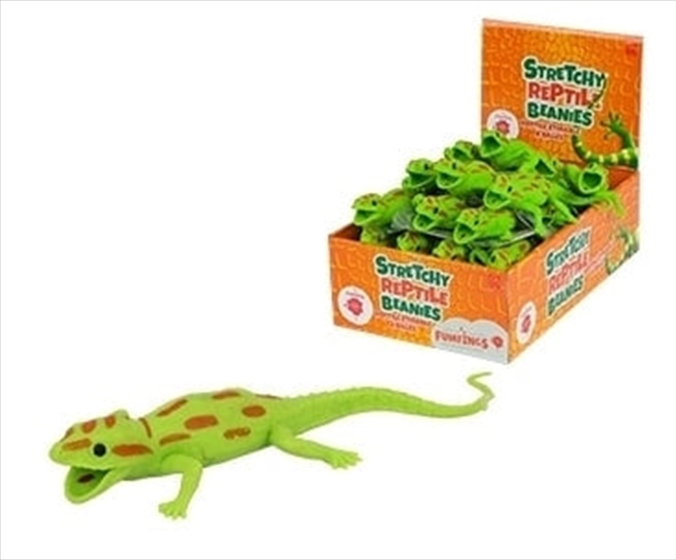 Gecko 20cm/Product Detail/Stress & Squishy