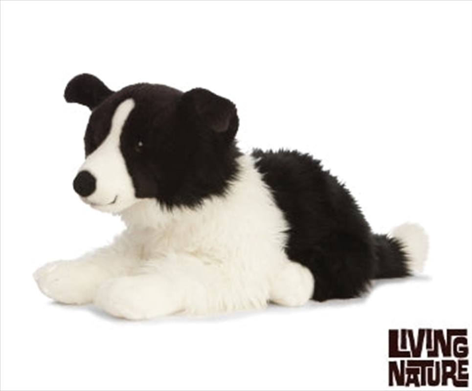 Giant Border Collie 60cm/Product Detail/Plush Toys