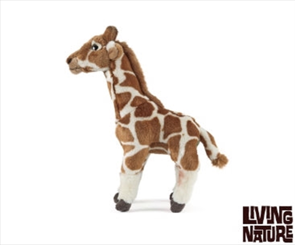 Giraffe Medium 32cm/Product Detail/Plush Toys