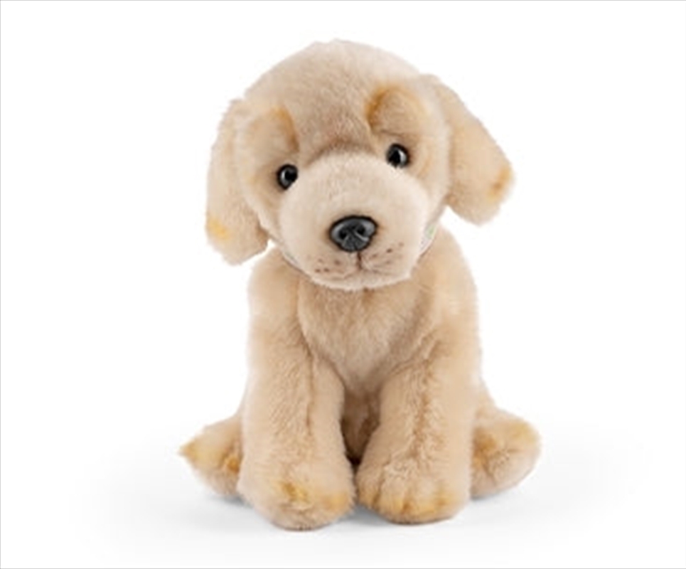 Golden Lab Puppy With Sound/Product Detail/Plush Toys