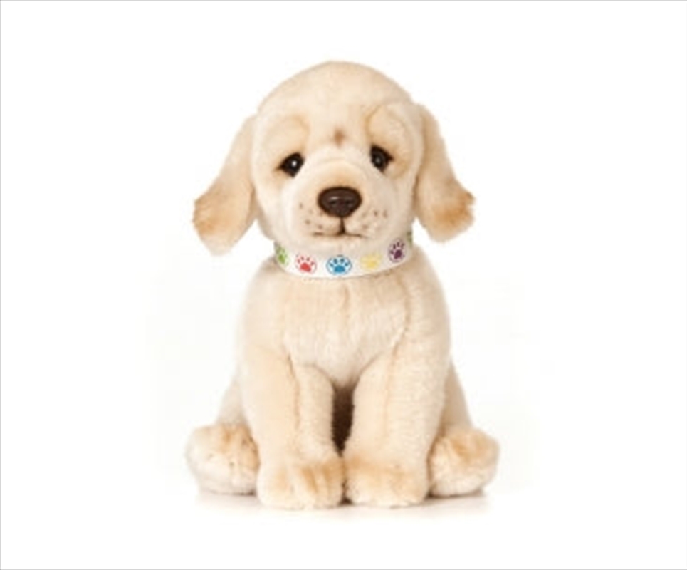 Golden Labrador Puppy 24cm | Toy
