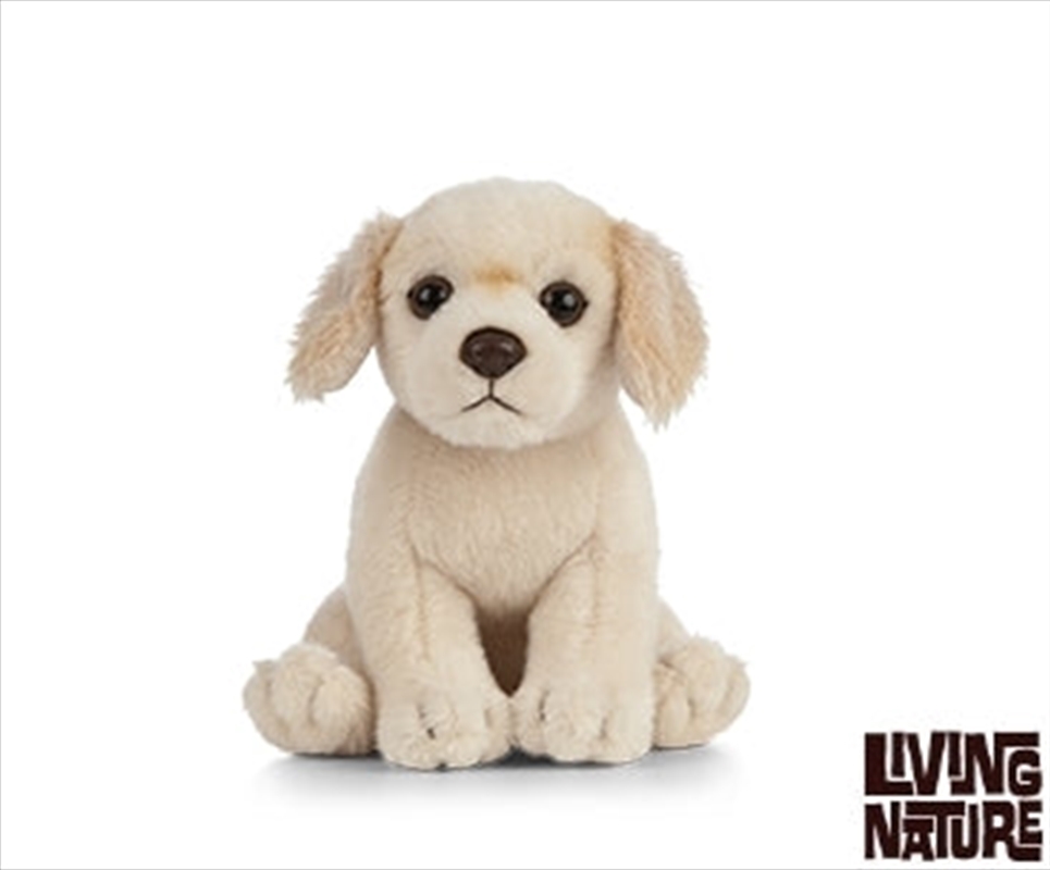 Golden Retriever Puppy 16cm | Toy