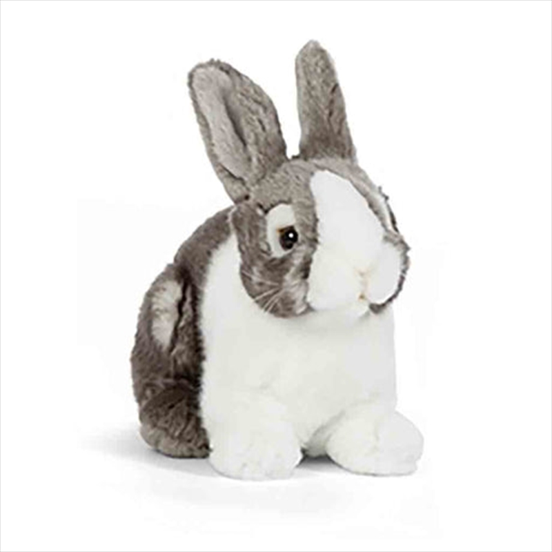 Grey Pet Rabbit 18cm | Toy
