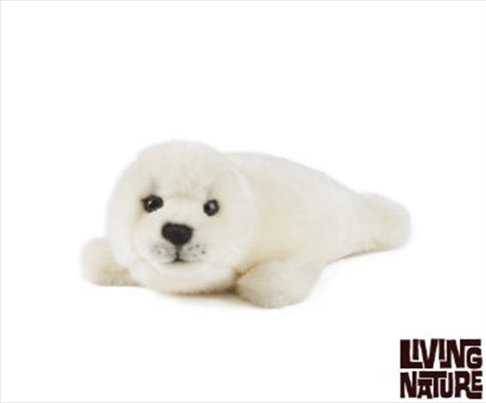 Grey Seal Pup 20cm/Product Detail/Plush Toys
