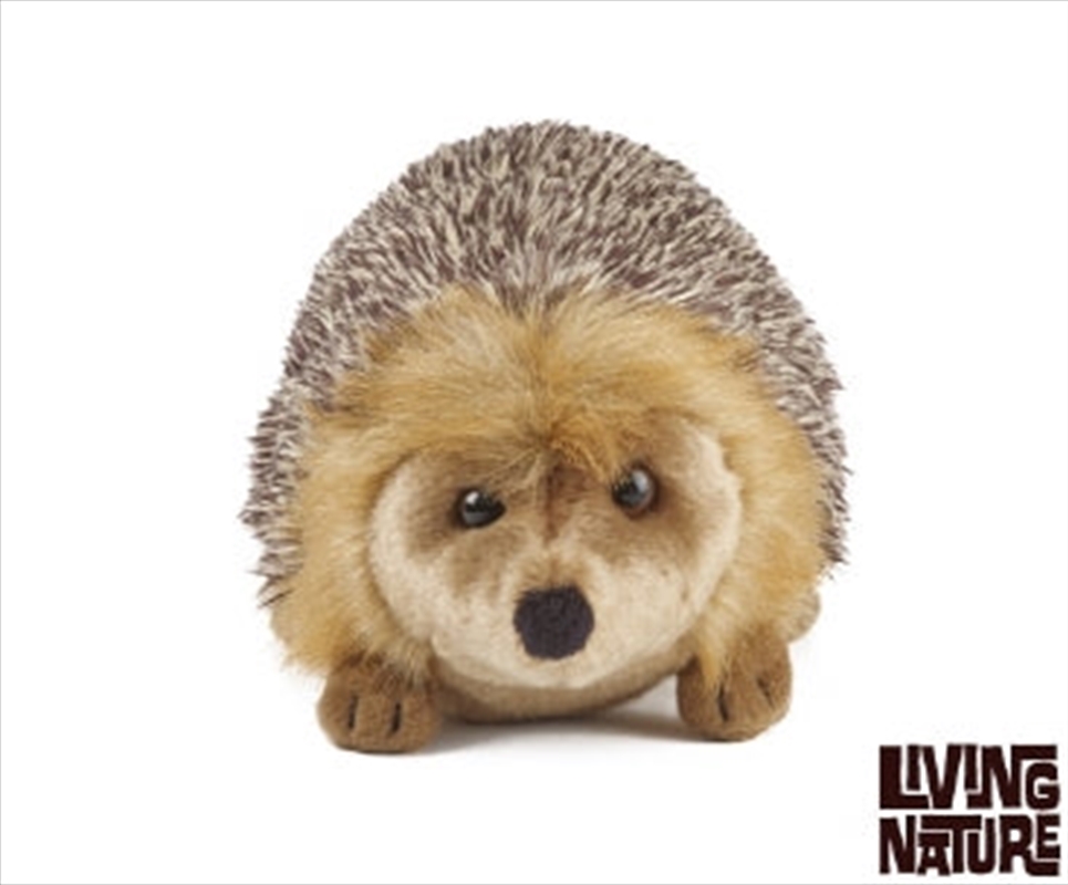 Hedgehog Large 23cm | Toy