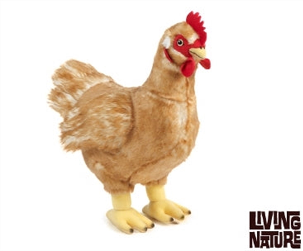 Hen Large 35cm/Product Detail/Plush Toys
