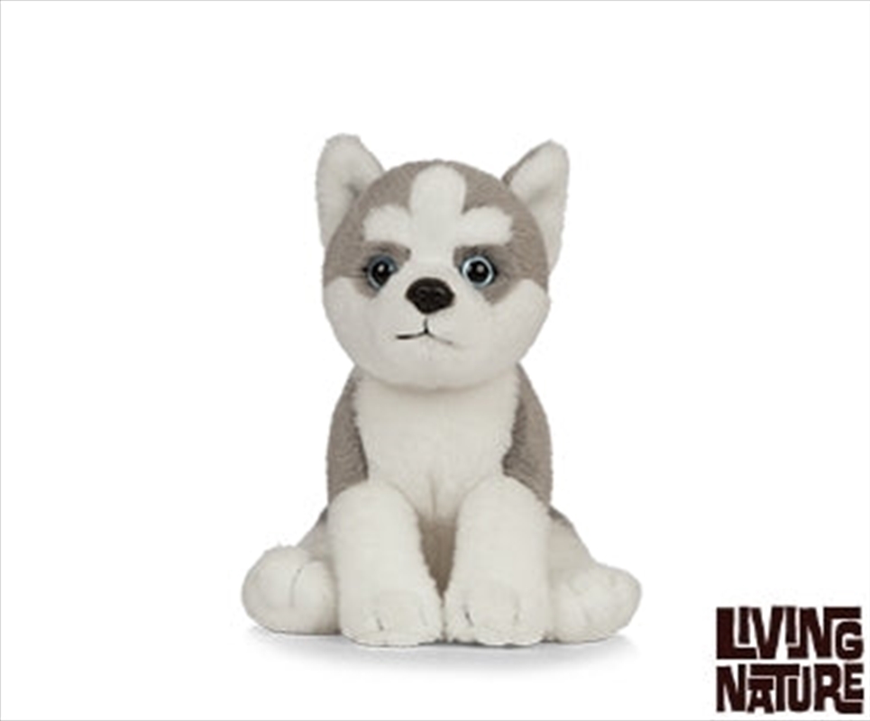 Husky Puppy 16cm | Toy