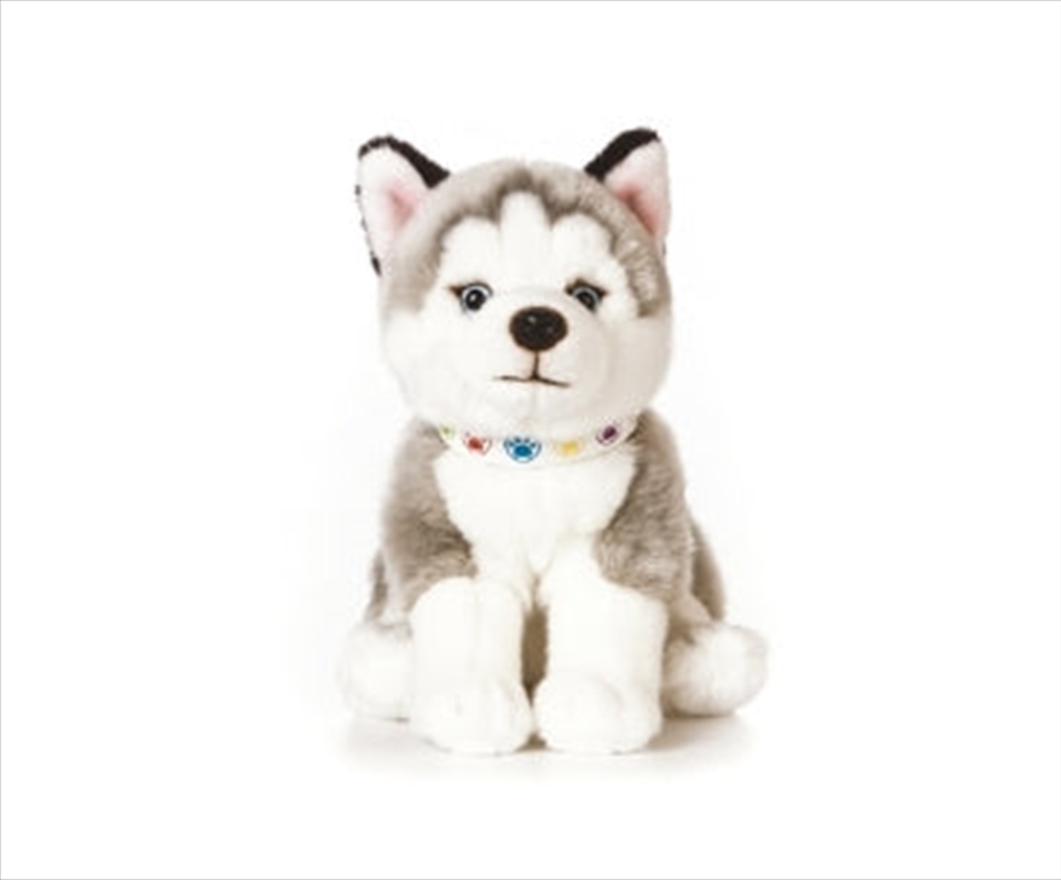 Husky Puppy 24cm | Toy