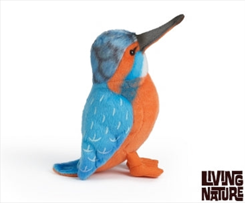 Kingfisher 13cm | Toy