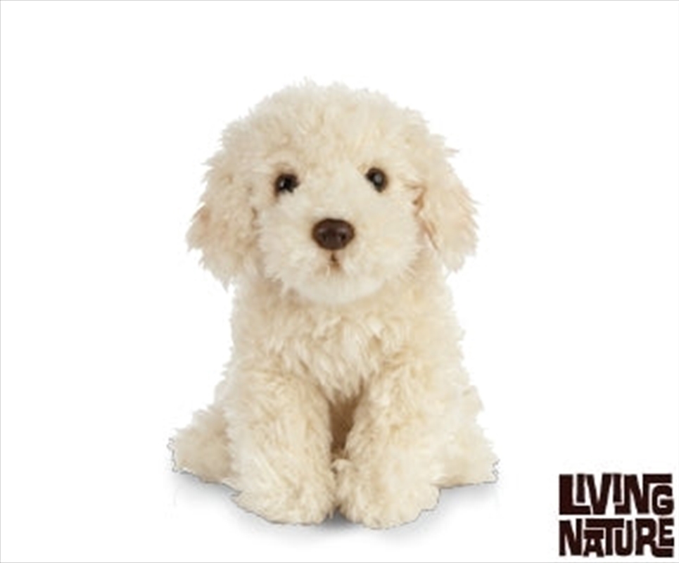 Labradoodle 20cm/Product Detail/Plush Toys
