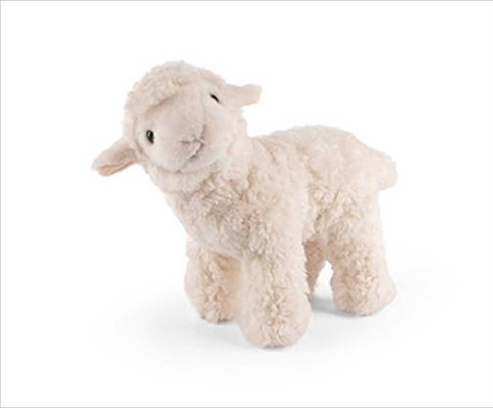 Lamb With Sound/Product Detail/Plush Toys