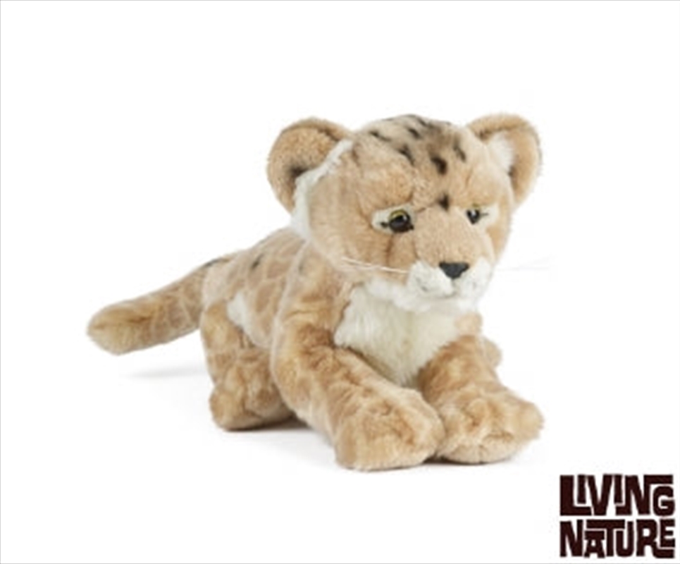 Lion Cub 35cm/Product Detail/Plush Toys