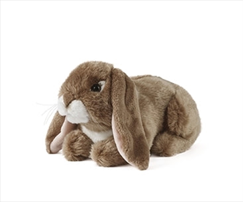 Lop Dark Brown Rabbit 24cm | Toy