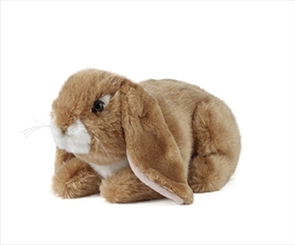Lop Eared Brown Rabbit 24cm | Toy