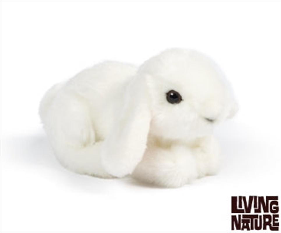 Lop Eared Bunny Small 16cm/Product Detail/Plush Toys