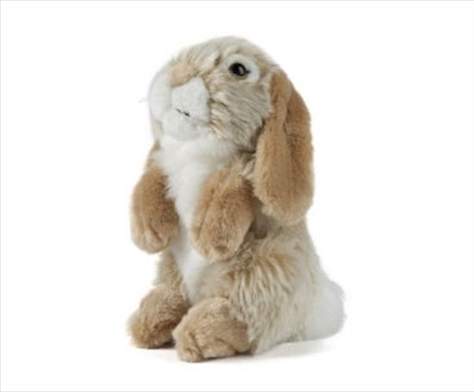 Lop Eared Rabbit Brown 19cm | Toy