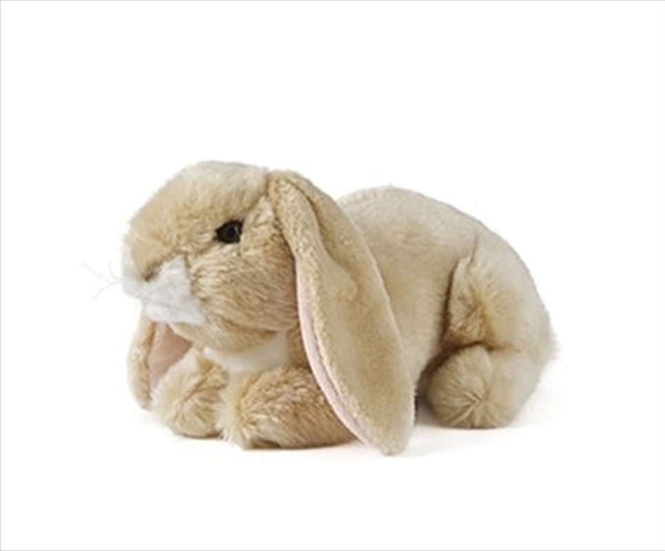 Lop Light Brown Rabbit 24cm | Toy